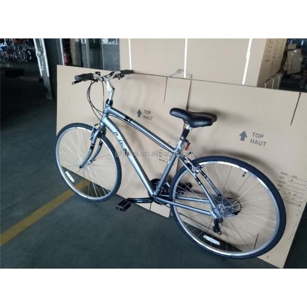 Customize Aluminum Frame 21S Women's Urban Bike Fitness Bikes Hybrid Bicycle for Adult