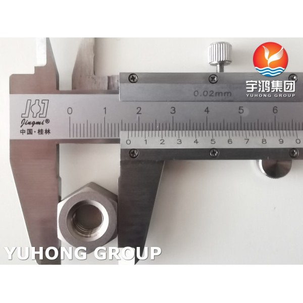 ASTM B348 Grade 2 Titanium Nut Gasket