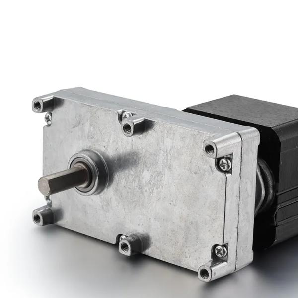 Professional AC Electric Motor 61mm 220v 50Hz/60Hz AC Motor for and B-H Insulation Class