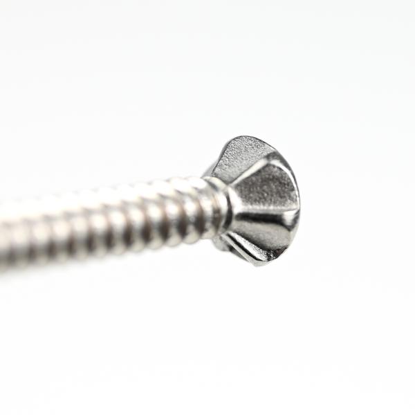 SUS410 Flat Phillips Head Self Tapping Self Drilling Screw Wing Tek Screw with Nibs 4.2x38