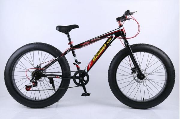 Steel Frame 21 Speed 26 Inch Electric Fat Bike