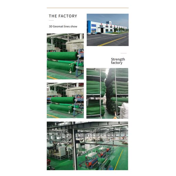 Online Technical Support 3D Erosion Control Geonet for Road Mountain Slope Protection