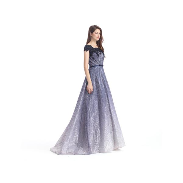 Sweep Train Formal Ladies Evening Dresses Short Sleeve U - Neck Style