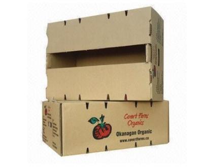 Vegetable / Fruit Packing Boxes , Cardboard Storage Boxes Offset Printing