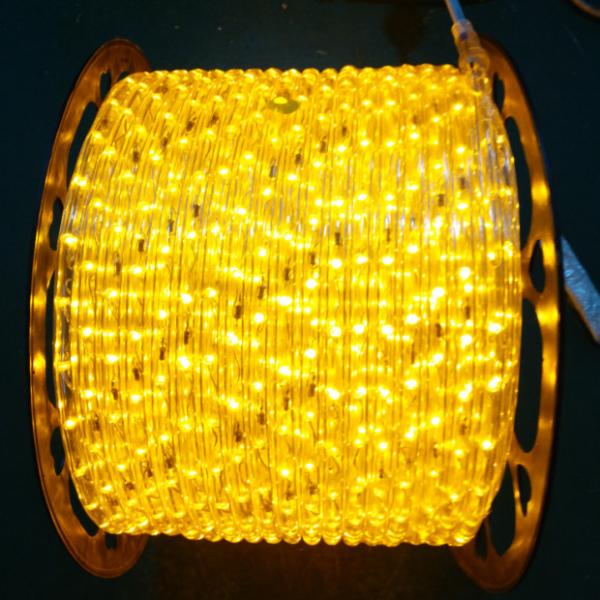 50Ft 100Ft 150Ft 300Ft 2-Wires 1/2 LED Rope Lights 110v 120v 220v 240v