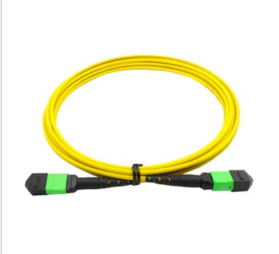 Good Exchange Ability MTP MPO Fiber Cable Low Insertion Loss For WANs