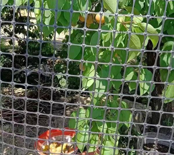 Achieve Optimal Ground Stabilization with Biaxial Stretch Geogrid Fence Reinforcement