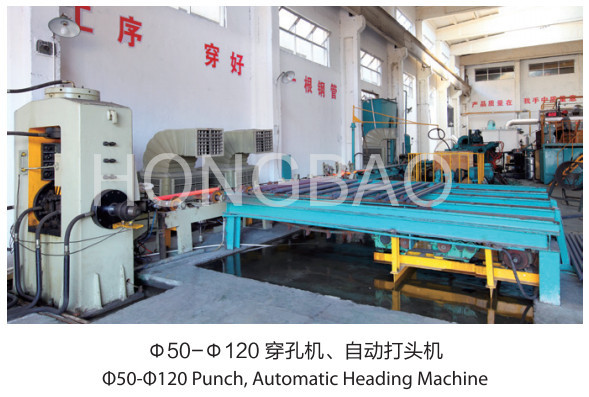 Jiangsu Hongbao Group Co., Ltd.