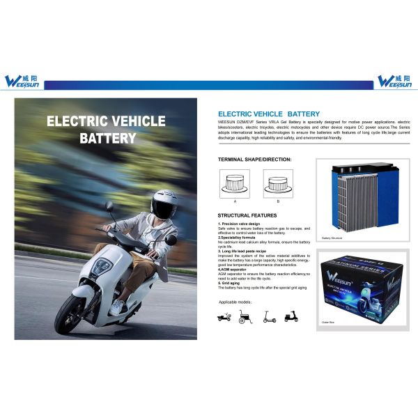Chilwee 6 Dzm 20 12v20ah Battery Xupai Ebike Battery Long Cycle Life