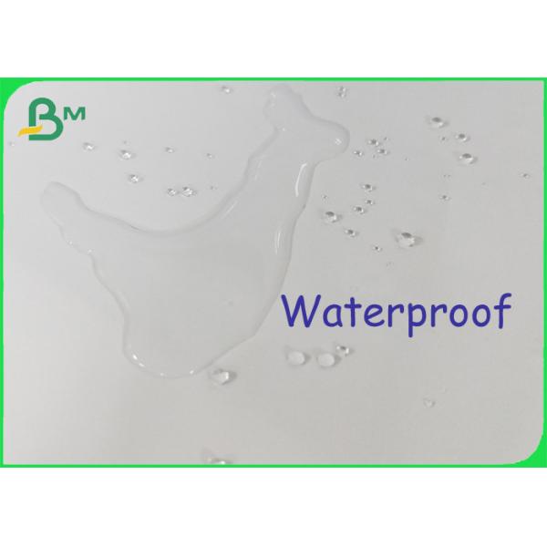 120um - 300um Water Proof Rich Mineral Stone Paper Packing In Roll Sheet Ream Water Proof Rich Mineral Stone Paper Rolls 120um - 300um No Wood