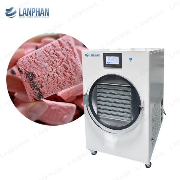 Freeze Drying Equipment Household Freeze Dryer Machine Freeze Dry Machine For Home