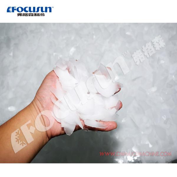 Plano de manutenção e serviço personalizável para a máquina de gelo em flocos de água do mar FOCUSUN 20T