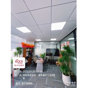 Shenzhen Senxingsu International Freight Forwarding Co., Ltd.