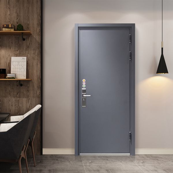 Modern Steel Exterior Iron Security Doors For Commercial Properties