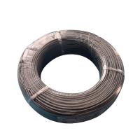 L'extension de couple thermoélectrique de JX-FG-FG-SSB 0.22mm2 câble la RDT autour de la forme