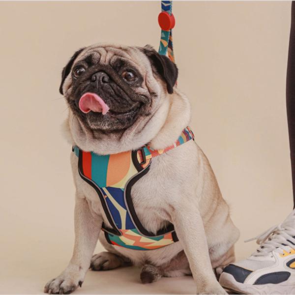 Upgrade Your Dog's Walks with Our Luxurious Reflective Dog Harness and Leash Combo Set