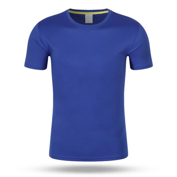 Wholesale Custom Printed 100% Polyester Sports Men's And Women's T-Shirts