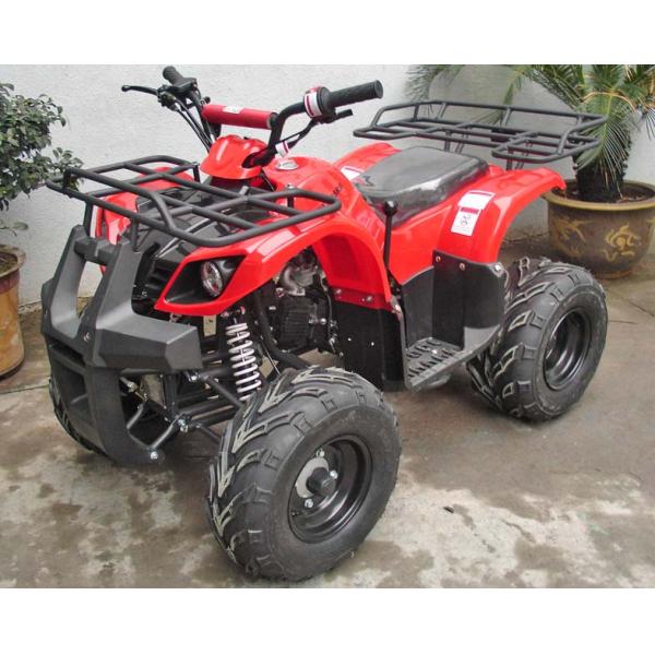 110mL Semi - Automatic Youth Racing ATV With Front Drum Brake / Rear Disc Brake