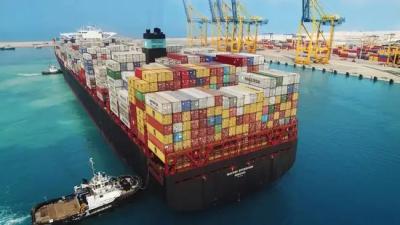 China To UK LCL Ocean Freight 20GP 40GP LCL Container Shipping