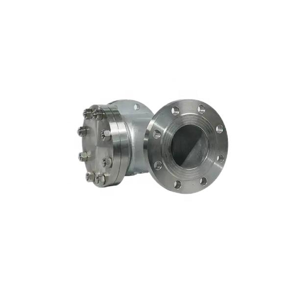 Flanged Lift Check Valve Silver Stainless Steel 304 316 316L PN16 PN25 PN40 PN64 PN100