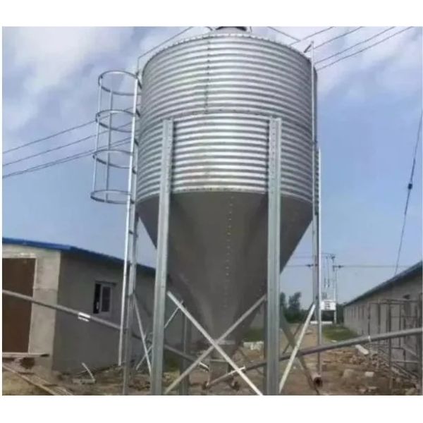 Fully Automated Poultry House Equipment with 50-Year Service Life and Food-Grade Drinking Fountain System