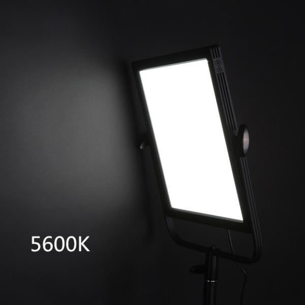 Still Life Continuous Studio Lighting Daylight LED Studio Panel
