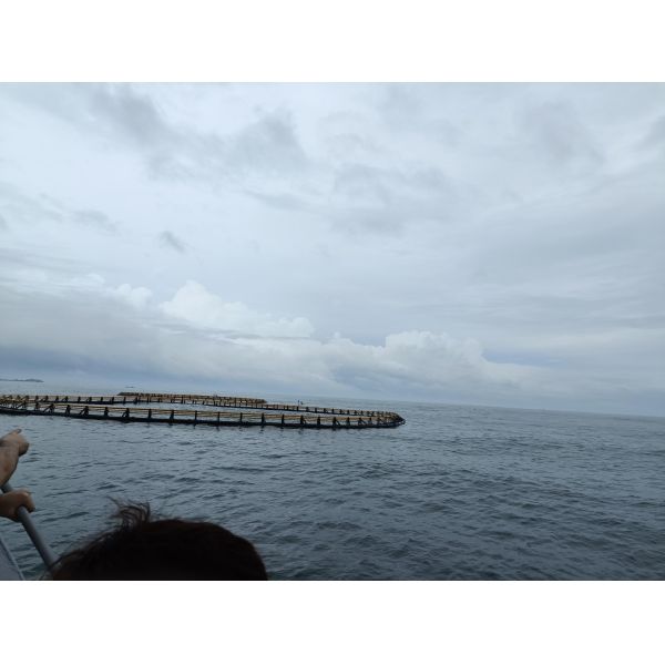 Extra Strong HDPE Anti-Wave Deep Water Fish Cage For Offshore Mariculture
