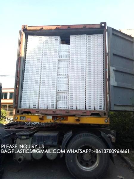 sustainable white chicken cage 680*490*160mm Virgin PP Transportation Chicken Cage