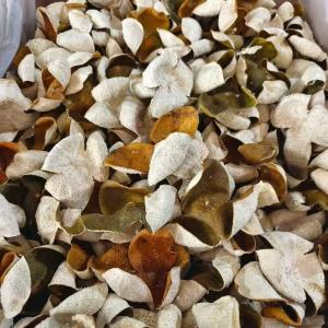 Healthy Xinhui Tangerine Peel Chinese Herbal Supplements Dried Citrus Peel