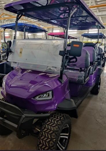 6 Seater 4 Wheel Golf Carts Scooter Electric 48V 100Ah Lithium Batteries Golf Cart