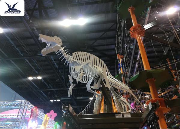 Playground Indoor Artificial Dinosaur Skeleton Replica Life Size Fiberglass Resin