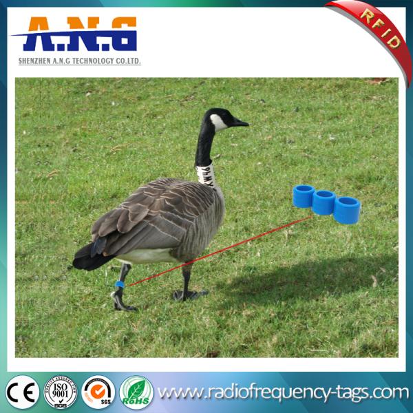 Diameter 17.5mm Ring Band Passive Rfid Tags For Tracking Chicken Duck Goose