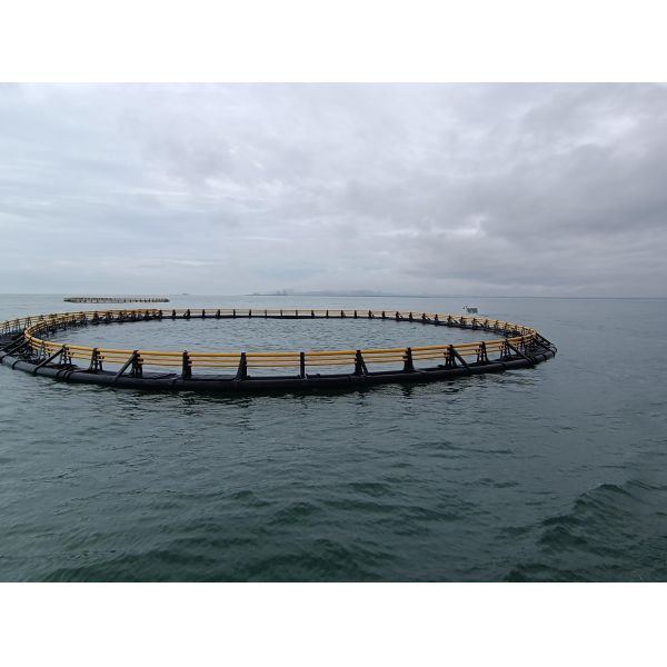 Extra Strong HDPE Anti-Wave Deep Water Fish Cage For Offshore Mariculture