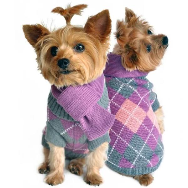 Projeto feito sob encomenda feito malha desenhos animados da cópia da roupa do cão do algodão da roupa do inverno do animal de estimação