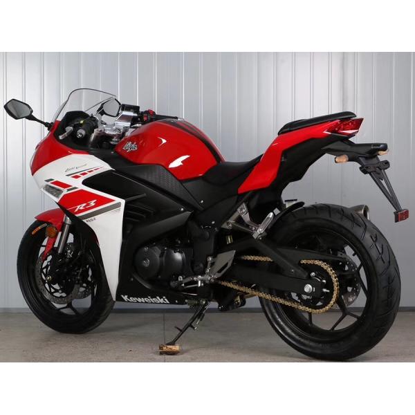 Double Cylinder Engine 350cc Sport Touring Motorcycles Front / Rear Double Dics