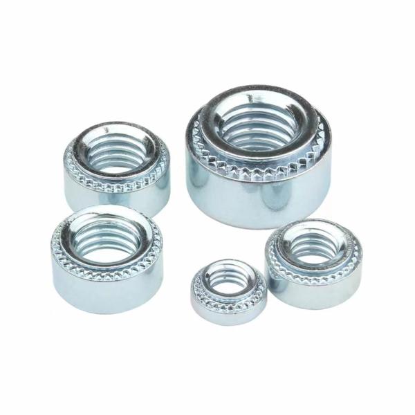 Steel Zinc Coating M4 CLS Self Clinching Rivet Nut m6 Class 4