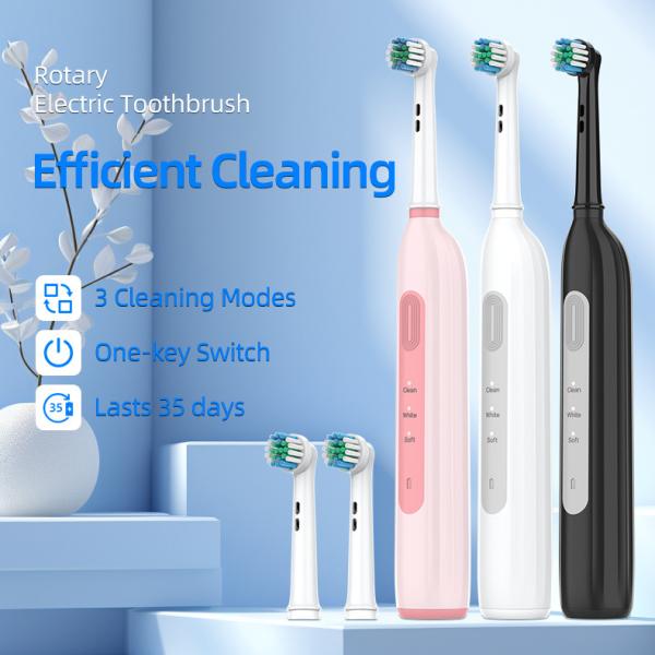3 Modes 360 Degree Rotating Toothbrush Oral Care Type C Charging Electric Spin Toothbrush