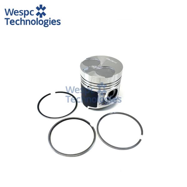WESPC 115017491B Piston Kit for Perkins 404C-22 404D-22 404D-22T Diesel Engines