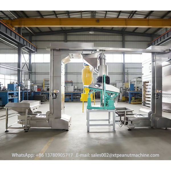 Continuous Operation Z Type Bucket Elevator Vertical Lifting Conveyor for Factory Use