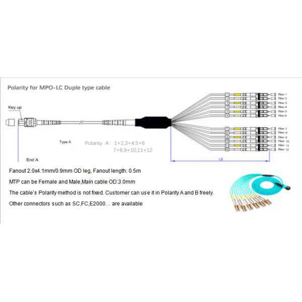 12F MTP OM4 Fiber Optic MTP-LC 2.0mm Straight Harness Cables