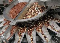 Cajus que misturam a máquina de peso secada da mistura dos frutos das sementes de girassol das porcas do pesador de Multihead