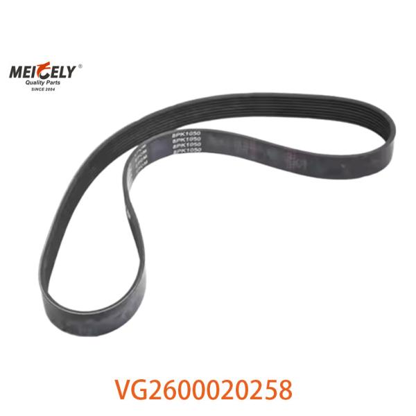 Vente à chaud VG2600020258 Ceinture d'alternateur Pièces de rechange pour moteur HOWO
