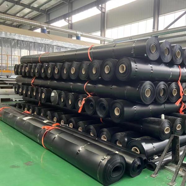 Contemporary Style Geomembrane Biodigester HDPE Plastic Sheet Dam Cover and Protection