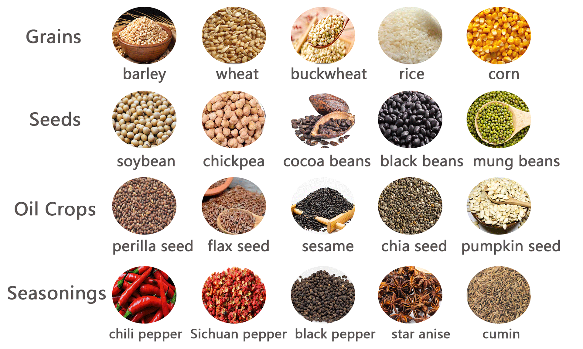 Continuous Rotary Drum Corn Roasting Line Large Output Industrial Roasting Machine