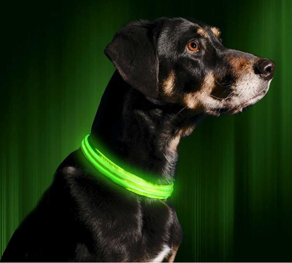 LED Dog Collar USB Rechargeable 2 Colors 3 Sizes