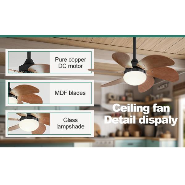 1stshine/OEM Logotipo 6 lâmpadas Kit de luz LED Residencial BLDC ventilador de teto com 2-