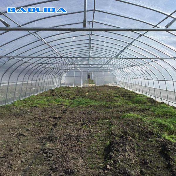 Armação de aço alta agrícola da estufa da barraca da aro para o crescimento do tomate