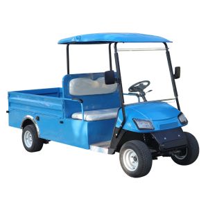 2023 горячая продажа EV Golf Cart низкоскоростной электрической Aetric Cart 100AH 60V Golf Cart Bus с задней частью