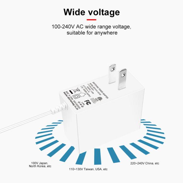 24V 0.5A BIS Certified AC Power Adapter For Hot Selling Roma Diffuser Humidifier Tablet Led Aquarium