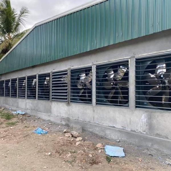 Prefab Lightweight Steel Building for Poultry Farm Building